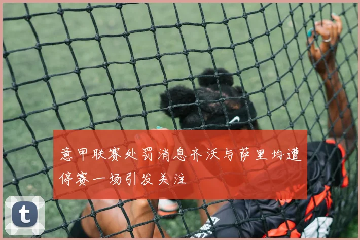 意甲联赛处罚消息齐沃与萨里均遭停赛一场引发关注