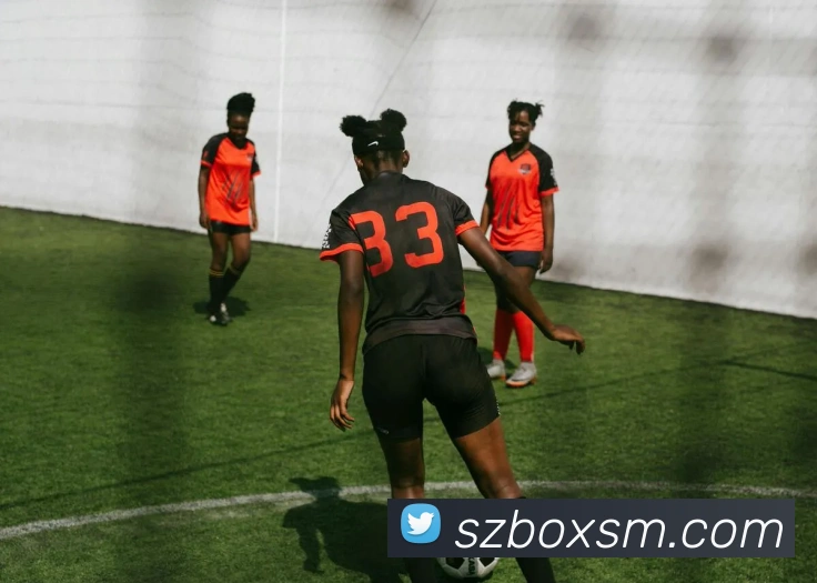 多媒体互动体验